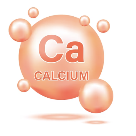 calcium.png