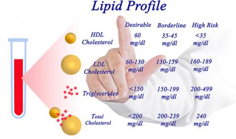 lipid_profile.jpg